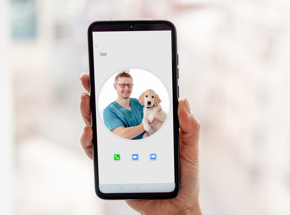 Video Call with a Vet
