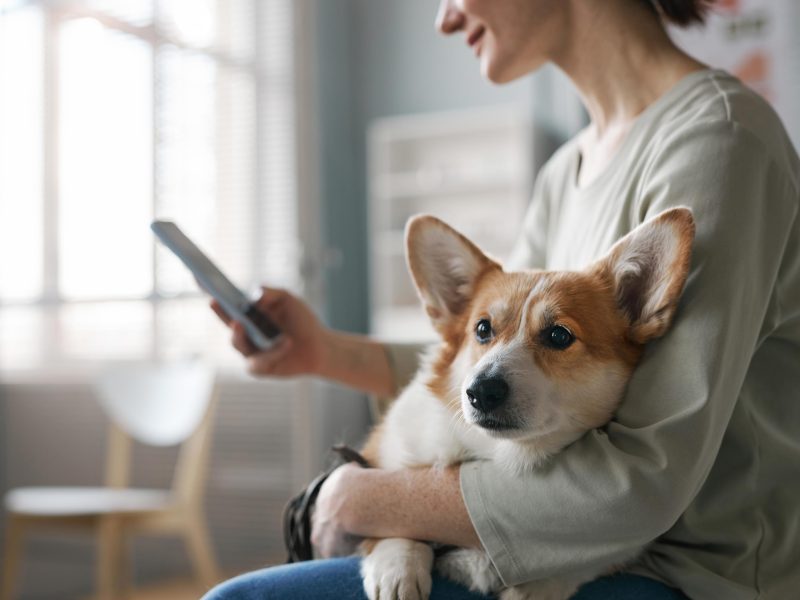 Welcome to our NEW Website