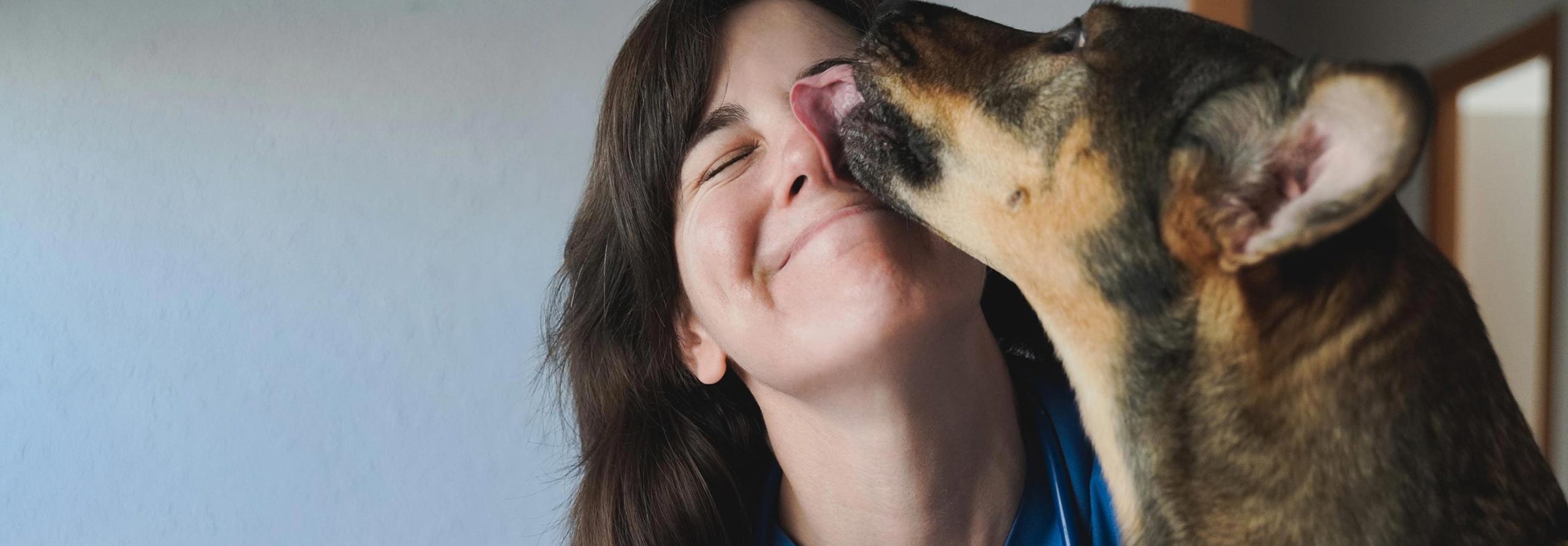 Dog Giving Owner Attention